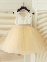 Short Ivory Champagne Flower Girl Dress Puffy Tutus with Sash ASD023